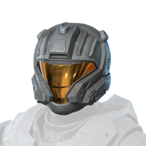 HINF WU CQB helmet.png