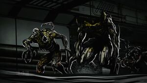 EVO-Flood forms 03.jpg