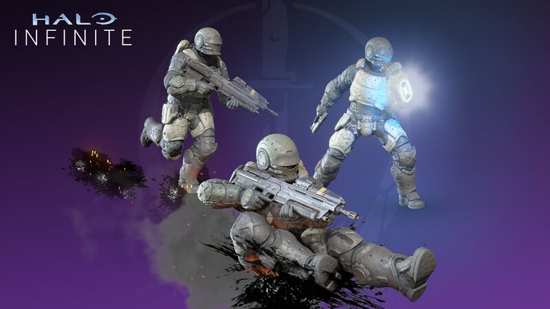 Fichier:HINF-Legacy of War bundle.jpg