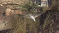 Une mouette sur Terre dans Halo 3.