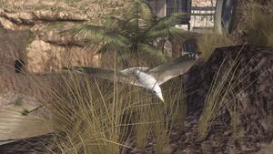 H3-Mouette (Dernier recours).jpg