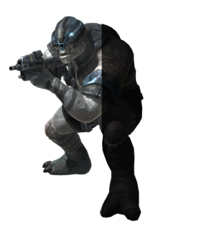 HR-Brute render (B.net).png