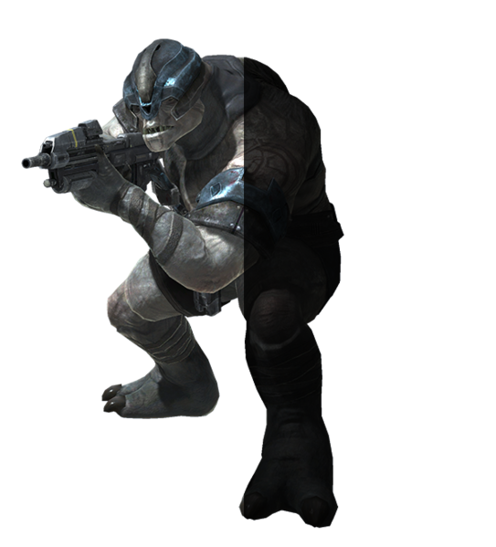 Fichier:HR-Brute render (B.net).png