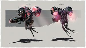 HINF-Skimmer exploration (Darren Bacon).jpg