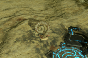 HW-Racine de Parasites 01.png