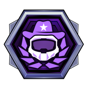 HINF médaille Flawless Victory.png