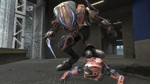 HR-Assassinat Élite sur Spartan 01.jpg