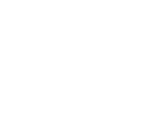 HINF S4 Grid backdrop.png