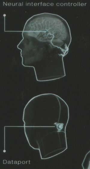 LC Neural interface.jpg