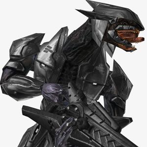 TMCC Avatar Élite Old School.jpg