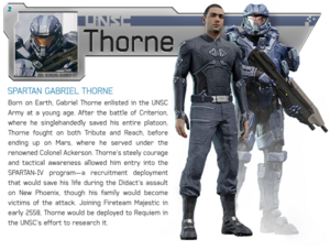 H4 Meet Majestic Thorne.png