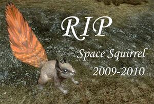 BWU HR Squirrel away.jpg