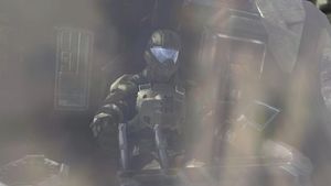 H3-Hocus Pelican.jpg