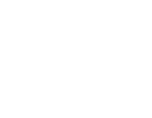 HINF S4 Star Focused backdrop.png