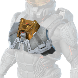 HINF S5 Implementation Protocol chest.png