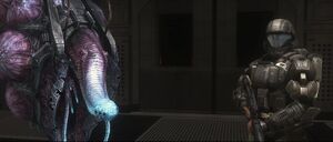 HODST-Rookie & Quick to Adjust.jpg