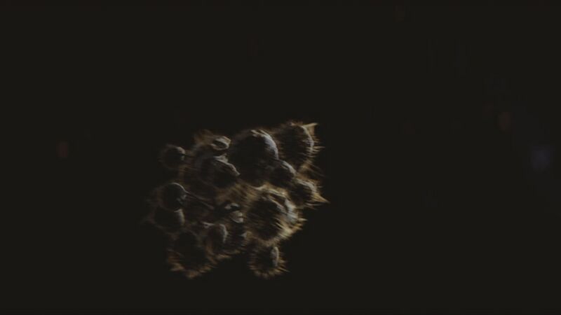 Fichier:H2A-Spore de Parasite.jpg