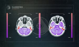 HTS Halsey Alban 2.jpg