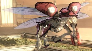 HODST-Drone capitaine.jpg