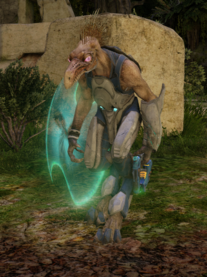 H2A Jackal Minor.png