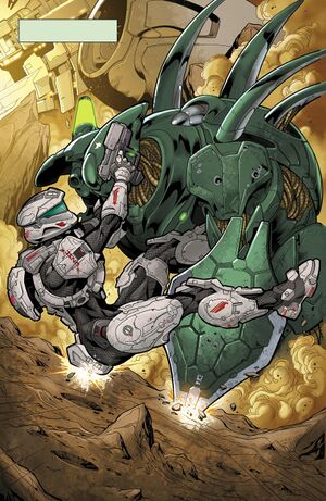 ESC19-Palmer vs Mgalekgolo.jpg