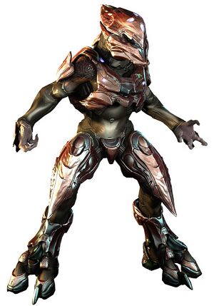 H4 Sangheili Zealot 02.jpg