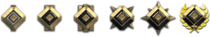 H5G CSR Gold.png