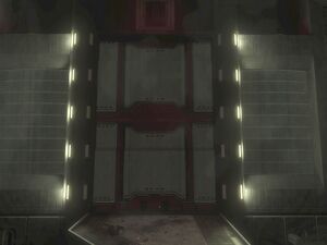 HODST-Huge door Kikowani.jpg