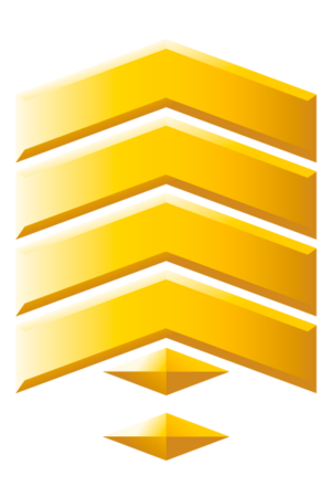 H3 GunnerySergeant G3.png