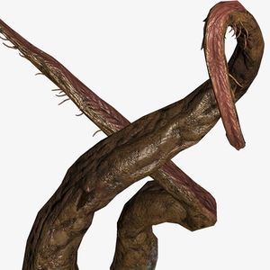 TMCC Avatar Le Fossoyeur.jpg
