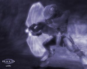 Halo CE wallpaper Jackal.jpg