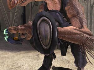 H3-Gant énergie kig-yar inactif.jpg