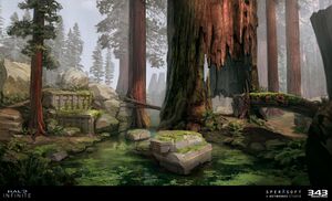 HINF-Forest concept art 04 (Anna Shulgina).jpg