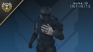 HINF-S2 Walle glove (Ultimate reward).jpg