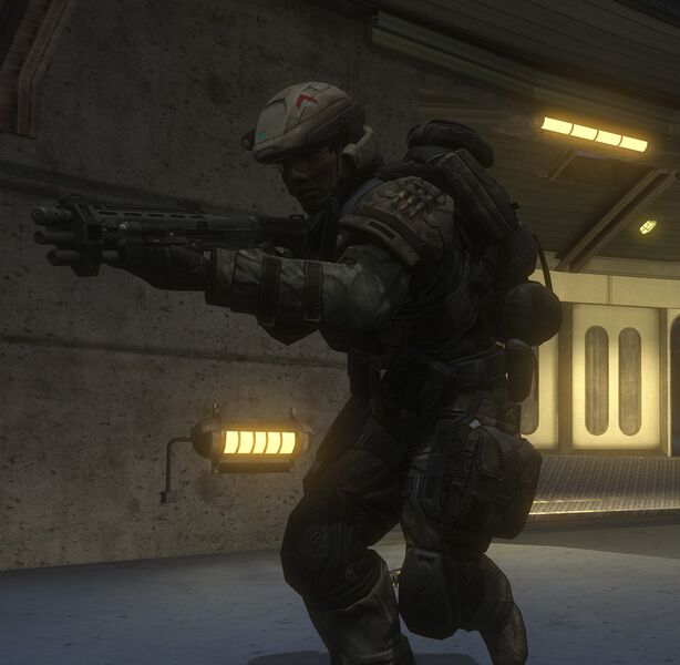 Fichier:HR-UNSC Army Trooper (Nightfall early).jpg