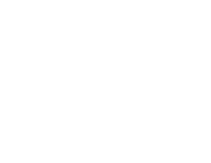 HINF S3 Reconstruct Confidence backdrop.png