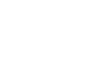 HINF S2 Glyphs backdrop.png