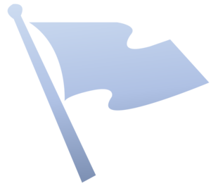 Capture The Flag.png