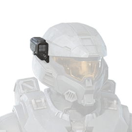 CNM[5]/BNR/Fascinator