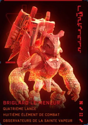 HINF-Cible Briglard.png