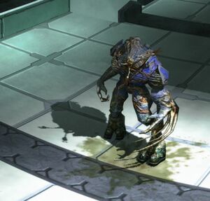 H2-Forme de combat 01.jpg