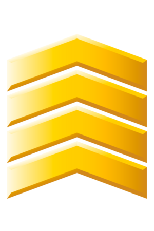 H3 GunnerySergeant.png