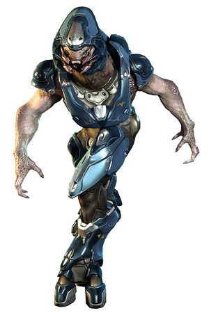 H4 Sangheili Storm 05.jpg