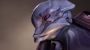 HINF-Harbinger 04.jpg