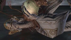 H2-Pitie & Parasite.jpg