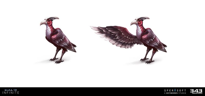 Fichier:HINF-Bird concept 02 (Sergey Snegirev).jpg