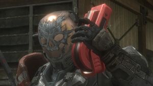 HR-Emile & balise détresse.jpg