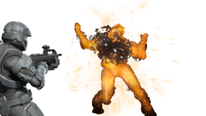 HINF-Eagle Claw bundle (render).png