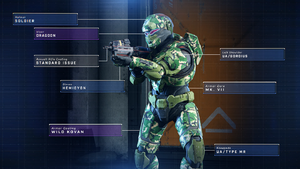 HINF-Spartan Customization 02.png