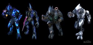 Sangheilis (Comparisons).jpg